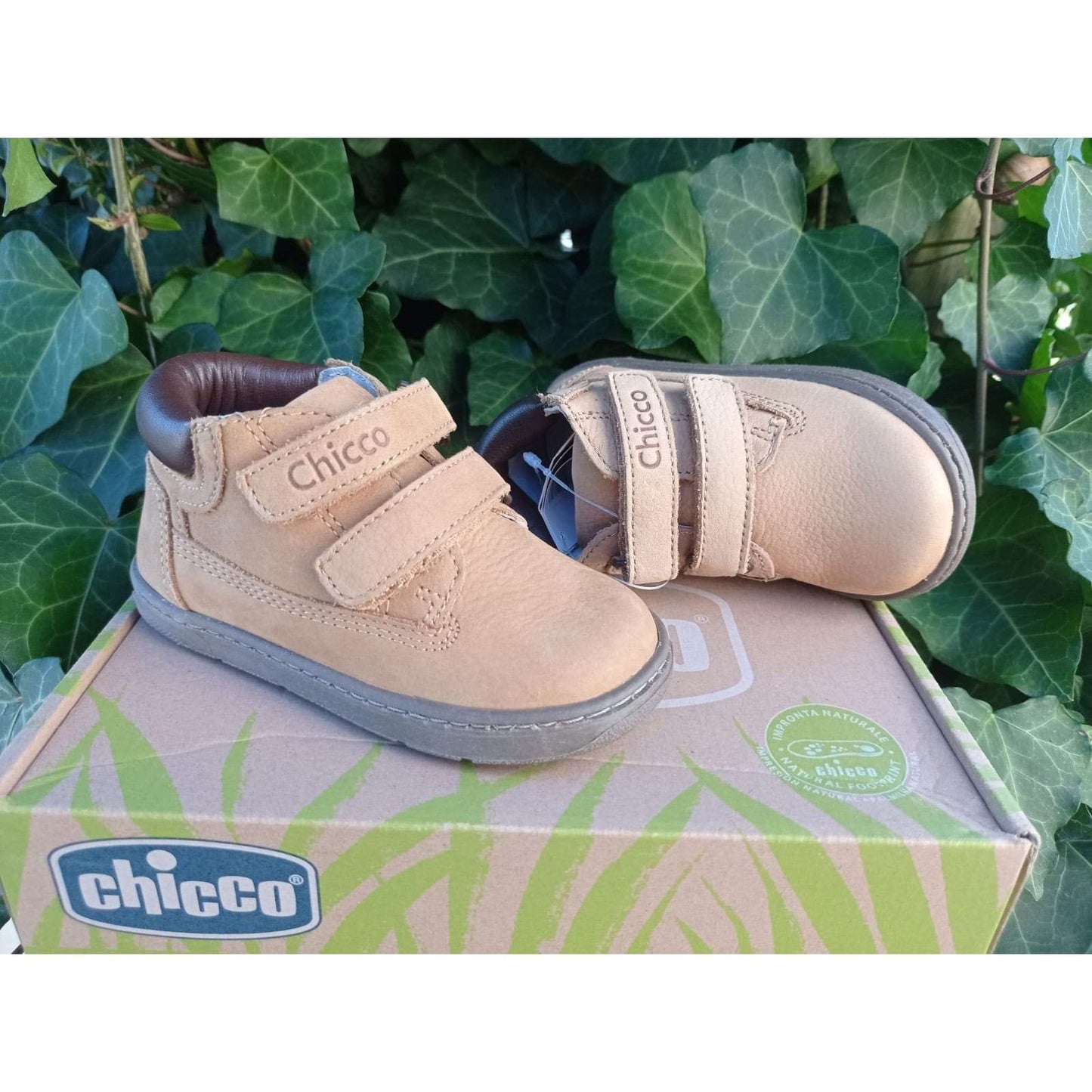 BOTA CHICCO