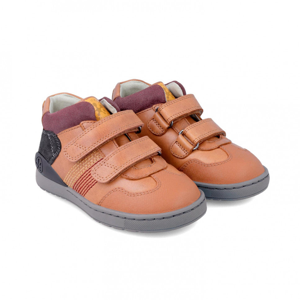 BOTA BIOMECANICS BIOEVOLUTION