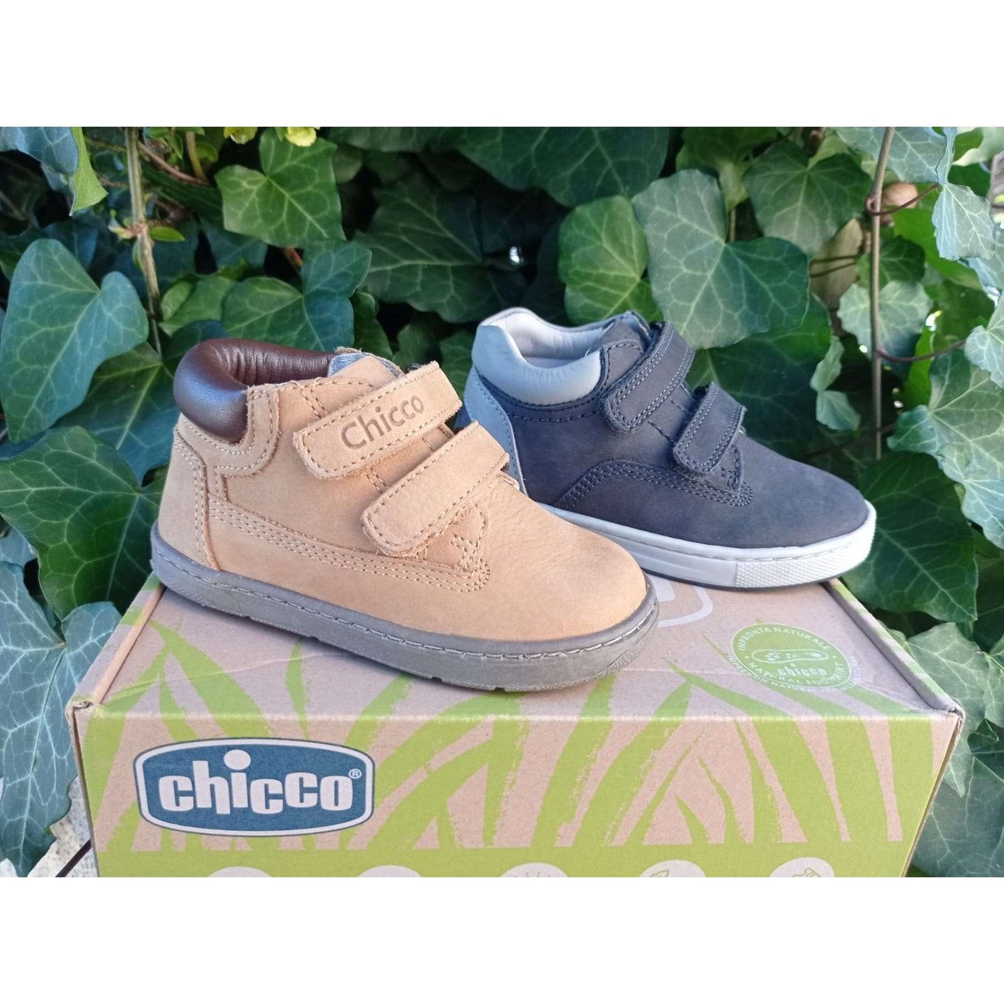 BOTA CHICCO