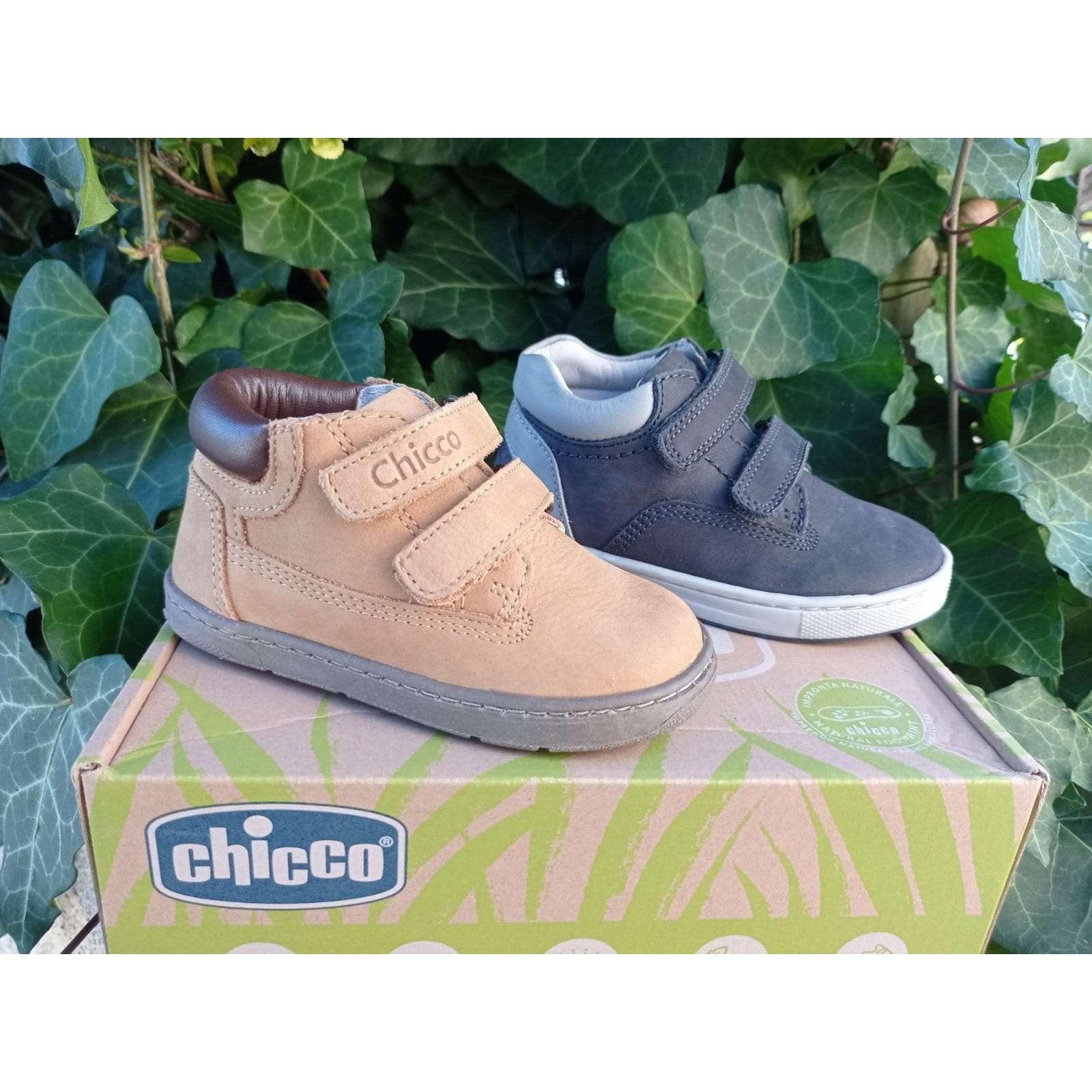 BOTA CHICCO