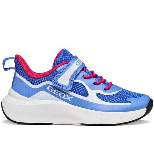 ARIL GEOX SPORTS SHOES