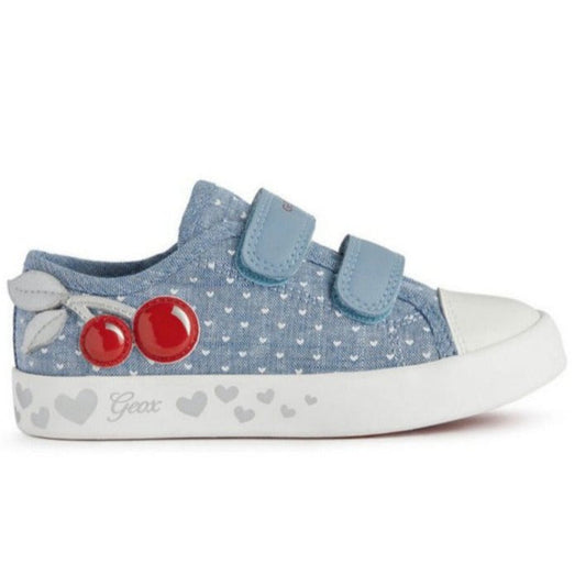 GEOX CANVAS
